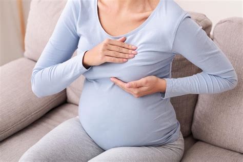 Cuándo Empieza El Dolor De Pechos En El Embarazo Consejos Para Aliviarlo