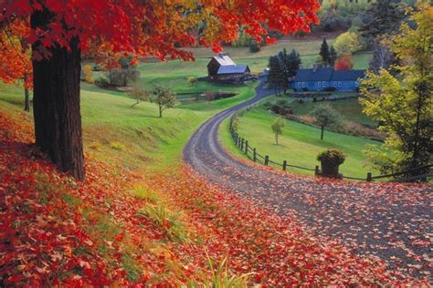 5 Favorit New England Fall Foliage Tours Good Mood