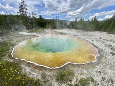 Morning Glory Pool In Yellowstone National Park Oc R