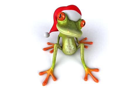 Wallpaper Frog Christmas Santa Frog Funny Santa Hat Images For