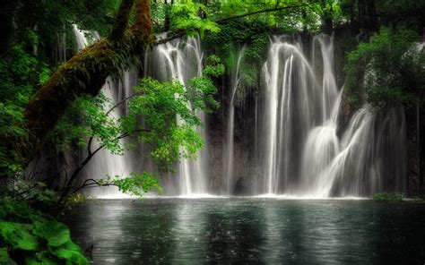 Nature Waterfall Hd Wallpaper