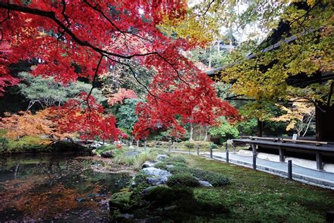 2015年12月8日のブログ記事一覧 Amadeusの「京都のおすすめ」 ブログ版（観光）