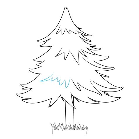 How To Draw A Pine Tree Step By Step