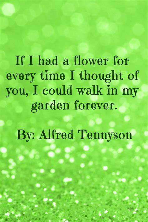 romantic quote if i had a flower for every time i thought of you i could walk in my garden