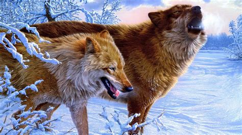 You can also upload and share your favorite wolf wallpapers hd. Download Animals Wolves Wallpaper 1920x1080 | Wallpoper #394610