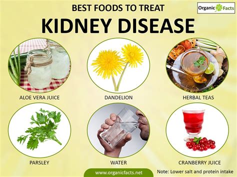 Kidneydiseaseinfographic With Images Treatment For Kidney Disease