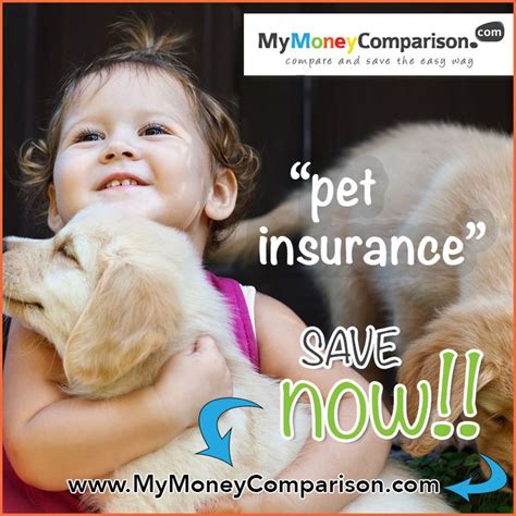 Compare Pet Insurance Quotes Online Quote And Buy Online Uk Compare