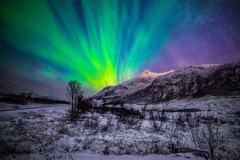 Northern Lights And The Milky Way Tromso Kommune Troms Fylke Norway