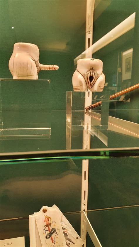 Found In The Sex Museum In Amsterdam Rbadwomensanatomy
