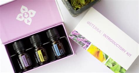 Set 3 Uleiuri Esentiale A 5 Ml Doterra Lavanda Lamaie Menta