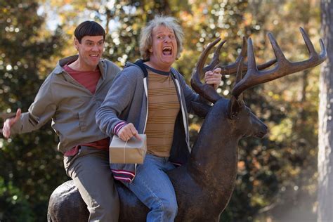 Dumb And Dumber Review What We Said In 1994 Time