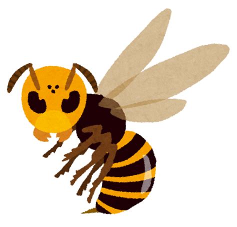 昆虫学会、オオスズメバチの英名を変更 「アジアン」改め「ノーザン」に こぴっとニュースちゃんねる
