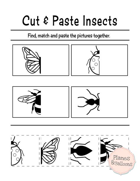 Cutting practice and scissor skills just got a whole lot more fun with our haircut worksheet pack! Printable Cutting Worksheets For Preschoolers | db-excel.com