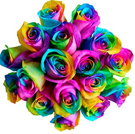 Learn How To Make Simple Colored And Rainbow Roses