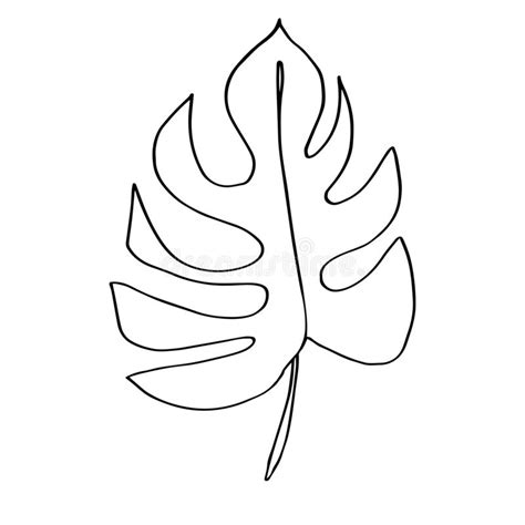 A curated collection of minimalist drawings including minimalist line art and black and white sketches. Contour Line Drawing Leaf Of Monstera. Modern Minimalism ...