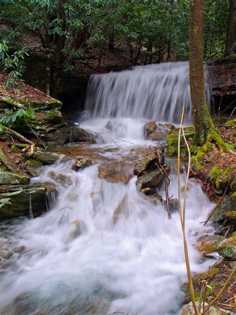 Free Picture Waterfall Water River Stream Nature Wood Creek
