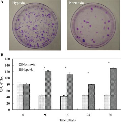 A Representative Crystal Violet Staining Of Hmsc Colonies Showing