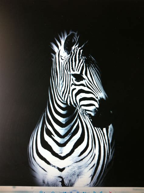 Pin By Kaye Evans On Tinas Stuff Zebra Art Zebra Painting Animal