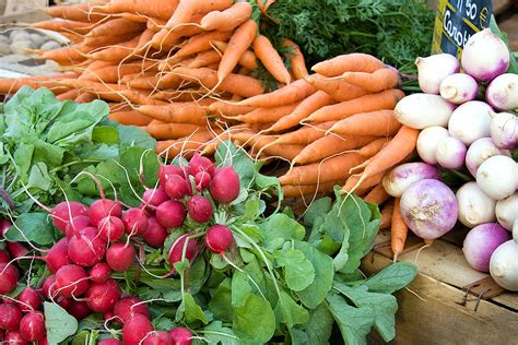 Not only will these fall vegetables taste great in your seasonal dishes, but their warm colors and big, leafy structures will spruce up your home garden. Vegetables for Fall Harvest - Harvest to Table