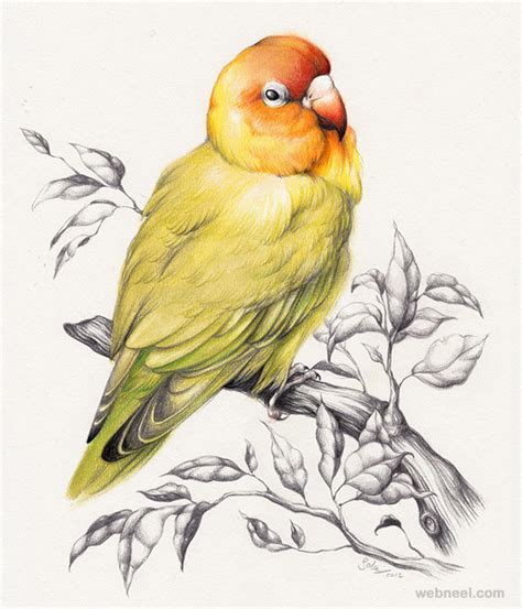 30 Beautiful Bird Drawings And Art Works For Your Inspiration