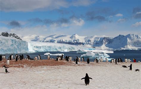 Antarctica Falklands And South Georgia Via Buenos Aires Aspen Travel