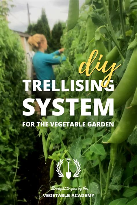 How To Build A Diy Trellis System For Your Vegetable Garden