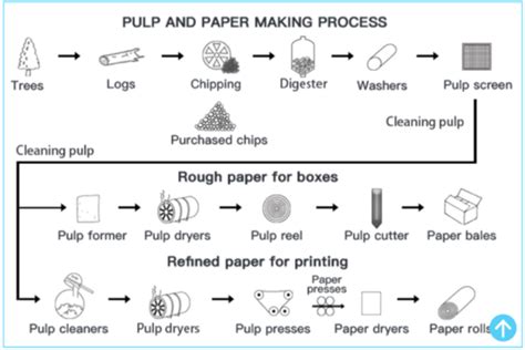 Pulp And Paper Making Process Ielts Writing Task 1