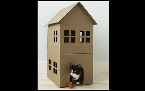Construye Una Casa De Cartón Para Gatitos