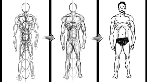 How To Draw A Human A Step By Step Guide Ihsanpedia