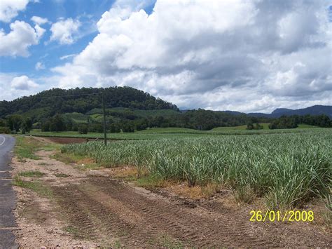 Near Murwillumbah New South Wales Crops Looking North Fr Flickr
