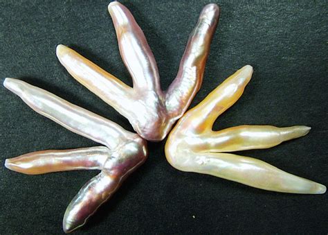 Chicken Feet Keshi Pearls High Luster 50 Cts Pf413