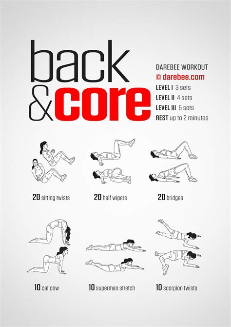 The Back And Core Workout Poster