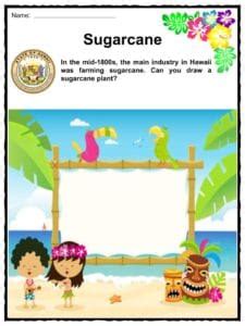 Please enter valid email address thanks! Hawaii Facts, Worksheets & State Historical Information ...
