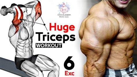 How To Build Your Triceps Fast 6 Effective Exercises تمارين الترايسبس Youtube