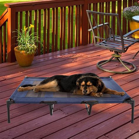 The 10 Best Cooling Dog Beds For Hot Weather Barkforce