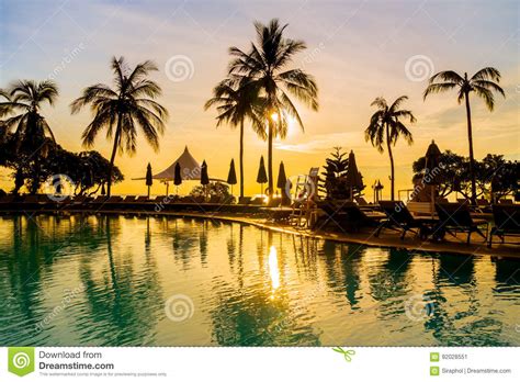 Silhouette Coconut Palm Tree Around Swimming Pool Stock Image Image