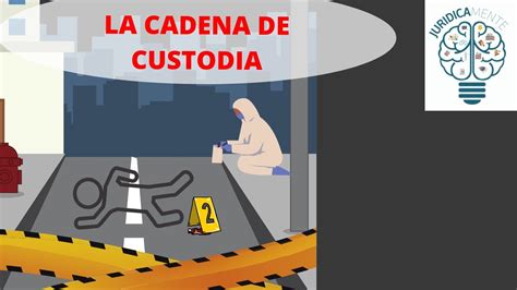 La Cadena De Custodia Youtube