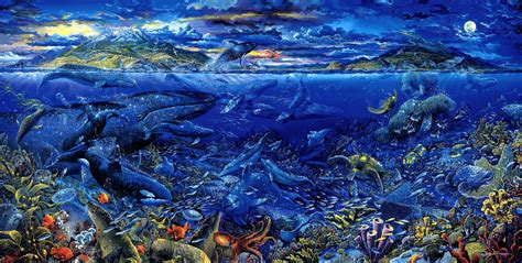 Aquatic Animals Wallpapers Wallpaper Cave