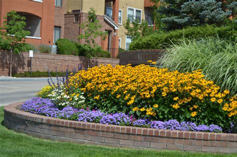 Flowers Denver Landscapes