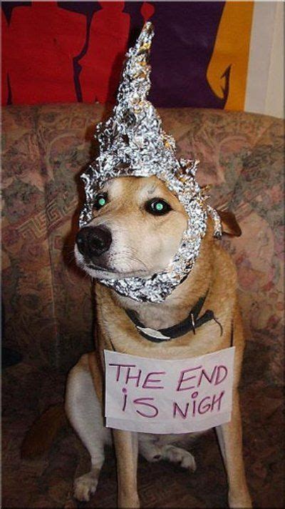 26 Best Wheres My Tinfoil Hat Images On Pinterest Hats