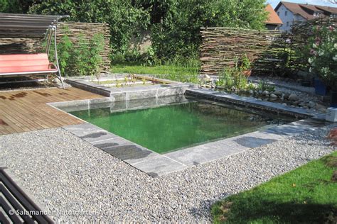 Kleiner Naturpool mit separater Pflanzenregenerationszone ...