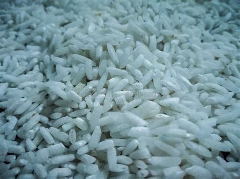 Rice Grains Close Up Shot Stock Image Image Of Nutrition 130667021