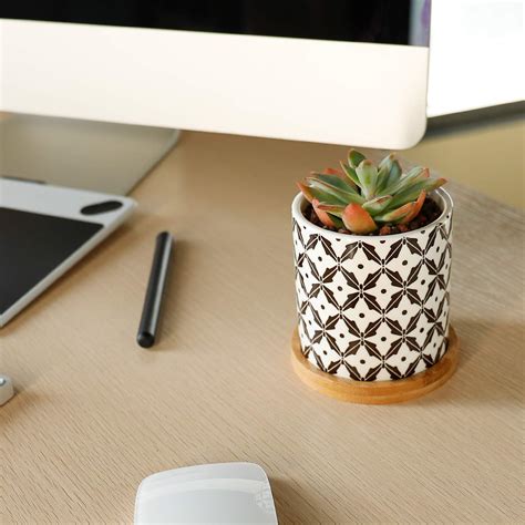 Greenaholics Succulent Plant Pots 3 Inch Cylindrical Ceramic Planter
