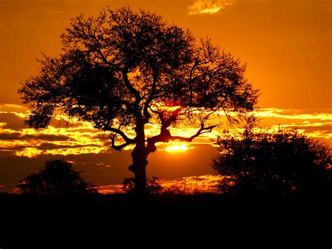 South Africa Landscape Landscape African Sunset Wallpaper Hd Sunset