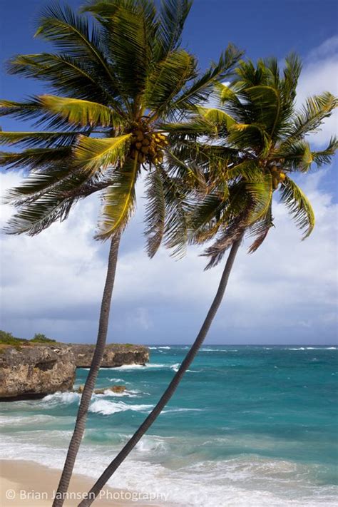 Bottom Bay Barbados West Indies © Brian Jannsen Photography
