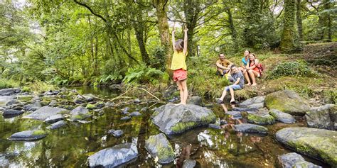 10 Idées De Balades En Forêt Tourisme Bretagne