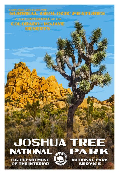 240 Joshua Tree Ideas Joshua Tree Joshua Tree National Park