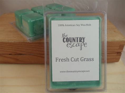 Fresh Cut Grass Scented 100 Soy Wax Melt Tart Complex And Etsy