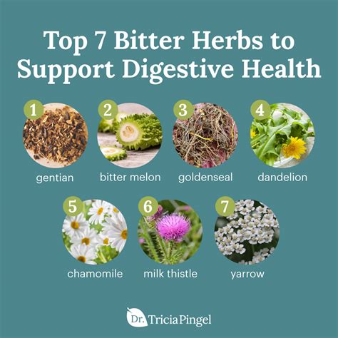 Digestive Bitters 7 Amazing Herbs For Your Gut Dr Pingel