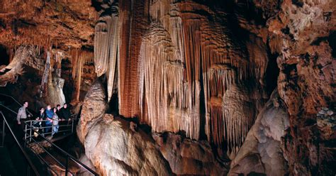 Card cavern trading cards discount codes, cardcaverntradingcards.com coupons may 2021. Meramec Caverns - Family Attractions Card